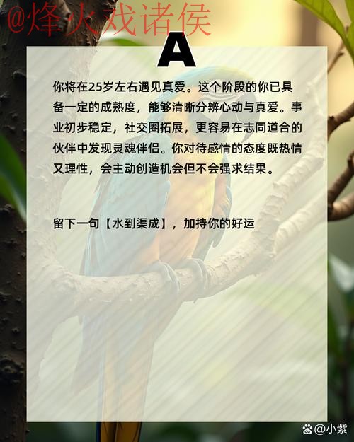 使用智能手机进行世界杯预测的最佳方法